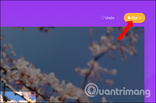 How to blur photos with Image Blur Picture 3