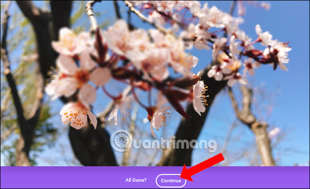 How to blur photos with Image Blur Picture 4