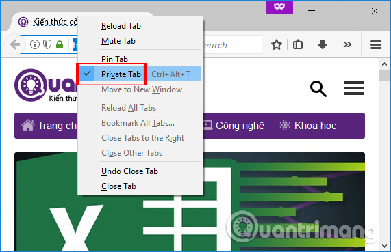 How to browse common mode and anonymously with a window on Firefox Picture 10