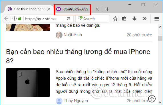 How to browse common mode and anonymously with a window on Firefox Picture 7