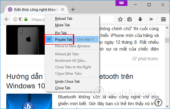 How to browse common mode and anonymously with a window on Firefox Picture 9