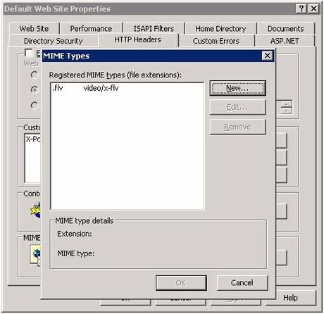 How to Build a Video Hosting Site on Your Windows 2003 Server Picture 8