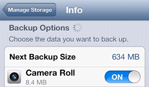 How to cancel unnecessary backups on iCloud Picture 4