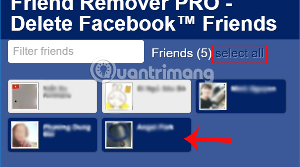 How to cancel your Facebook batch with Friend Remover Pro Picture 5