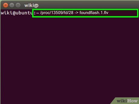How to Capture Adobe Flash Videos on Ubuntu Linux Picture 9