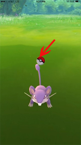 How to catch Pokemon 'hundred percent hit' in Pokemon Go Picture 6