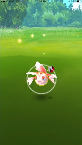 How to catch Pokemon 'hundred percent hit' in Pokemon Go Picture 8