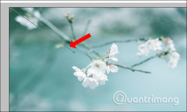 How to change colors for photos in Photoshop Picture 10