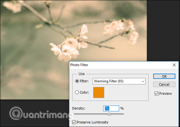 How to change colors for photos in Photoshop Picture 2