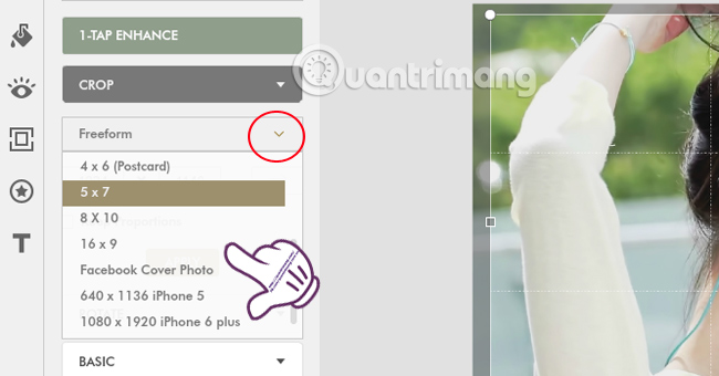How to change photo size on Fotor online application Picture 10