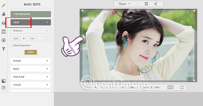 How to change photo size on Fotor online application Picture 4