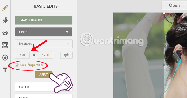 How to change photo size on Fotor online application Picture 8