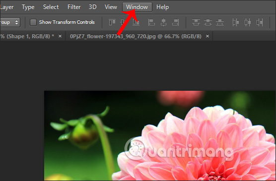 How to change the background color in Photoshop Picture 5
