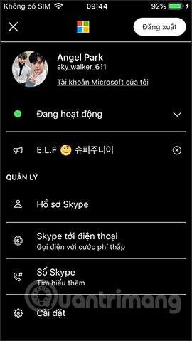 How to change the black background interface on Skype Picture 8