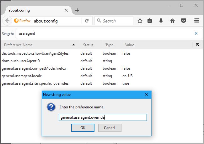 How to change the browser User Agent without extenstion Picture 8
