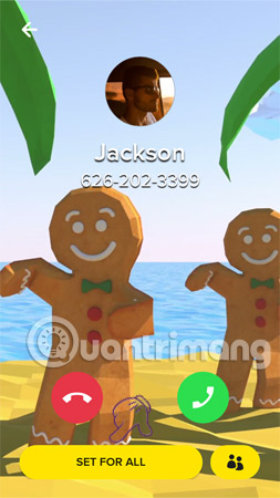 How to change the call interface on Android Picture 17