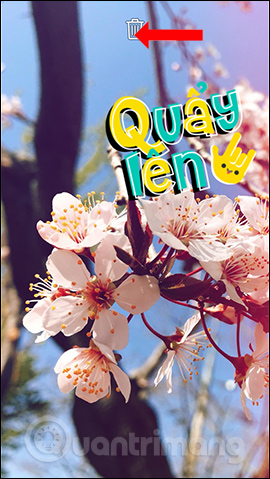 How to change the chat wallpaper on Zalo Picture 13