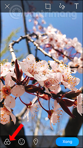 How to change the chat wallpaper on Zalo Picture 9