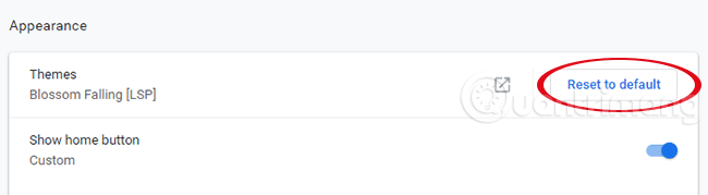 How to change the Chrome interface, create the theme for Chrome very toxic Picture 15