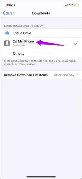 How to change the directory to save the downloaded file from Safari on iPhone Picture 8