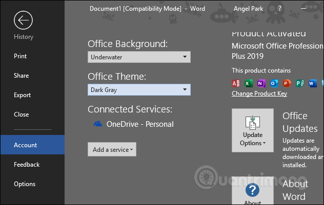 How to change the Microsoft Office interface Picture 7