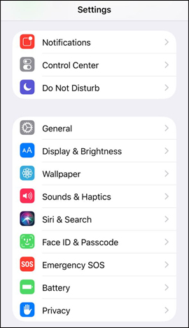 How to change the Settings interface on iPhone Picture 5
