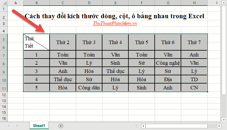 How to change the size of rows, columns, cells equally in Word, Excel Picture 20