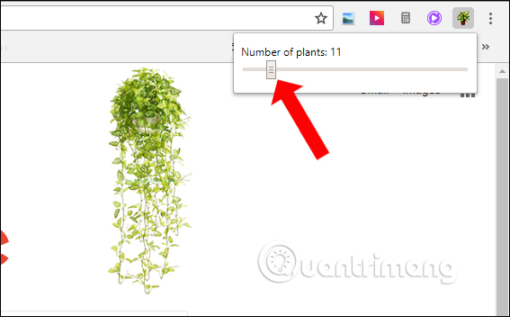 How to change the website interface on Chrome with More Plants Picture 3