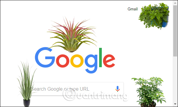 How to change the website interface on Chrome with More Plants Picture 4
