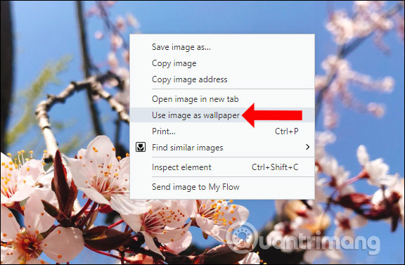 How to change wallpaper on Opera browser Picture 10