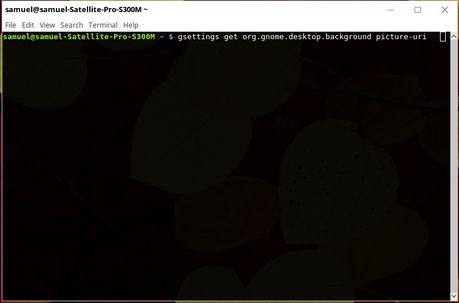 How to Change Your Desktop Wallpaper on Linux Mint Picture 6