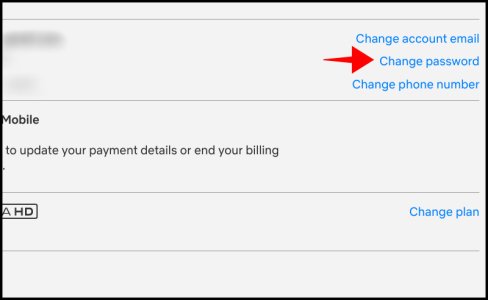 How to change your Netflix account password Picture 2