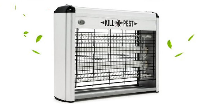 How to chase mosquitoes to prevent dengue, Zika virus Picture 1