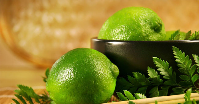 How to chase mosquitoes to prevent dengue, Zika virus Picture 5