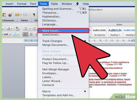how to insert word count in word mac