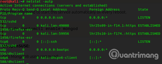 How to check open ports in Linux Picture 3