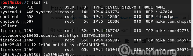 How to check open ports in Linux - TipsMake.com