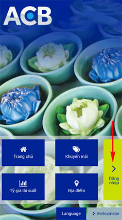 How to check the ACB account balance on phones and computers Picture 2