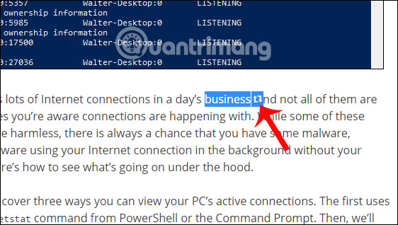 How to check the dictionary on Coc Coc Picture 3