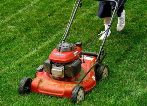 How to choose a lawn mower suitable for each type of grass Picture 3