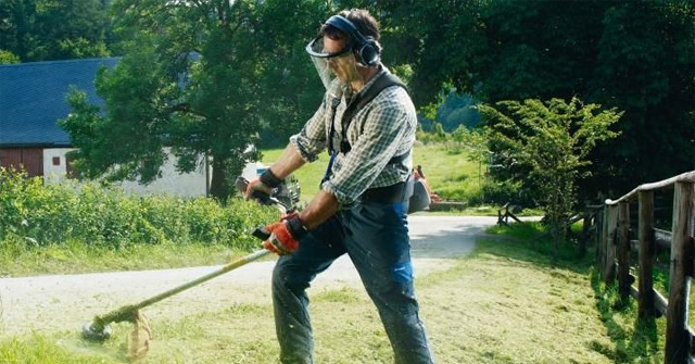 How to choose a lawn mower suitable for each type of grass Picture 9