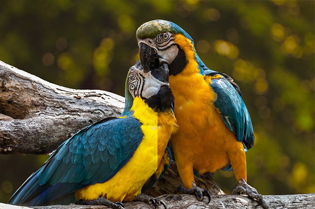 How to choose all the same colors in Photoshop Picture 4