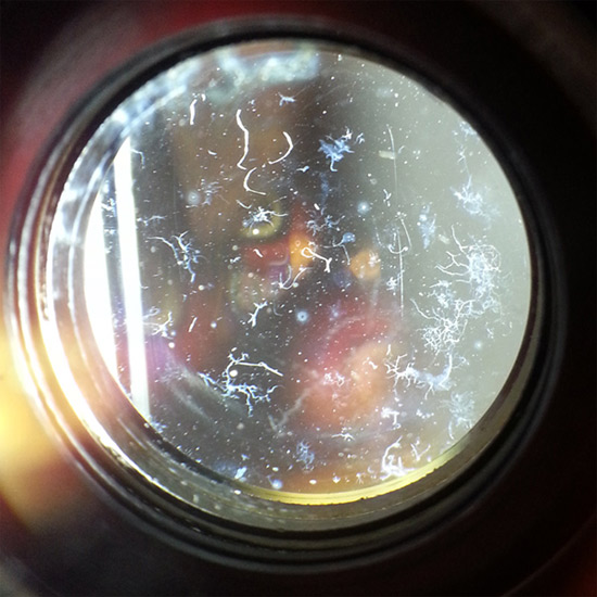 How to choose an effective old lens that you should not miss Picture 3