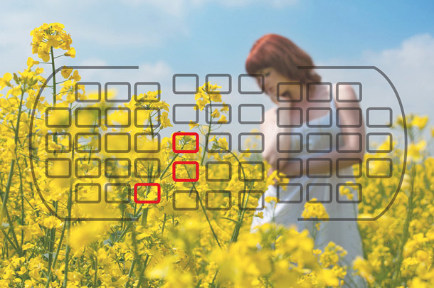 How to choose an effective old lens that you should not miss Picture 6