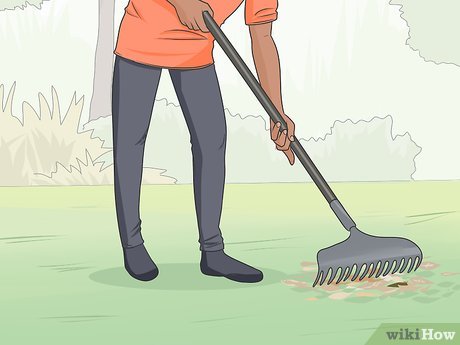 How to Choose Light Physical Activities Picture 17