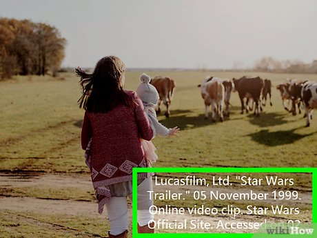 How to Cite Videos Picture 15