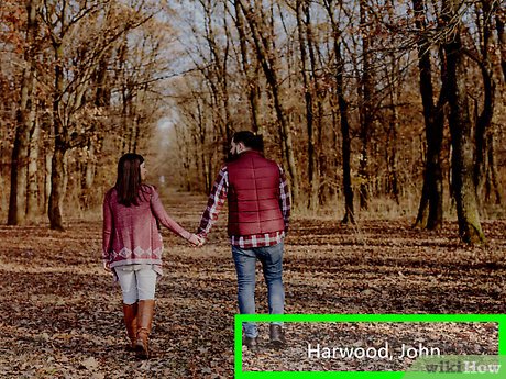 How to Cite Videos Picture 6