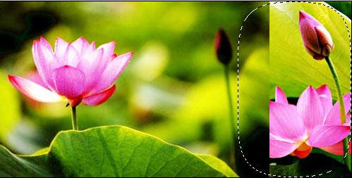 How to combine photos in Photoshop from 2 different images Picture 12