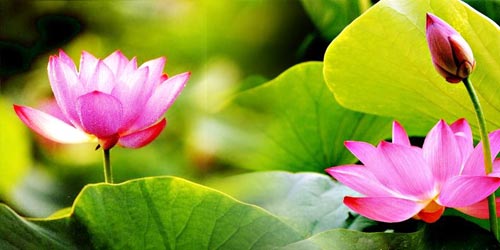 How to combine photos in Photoshop from 2 different images Picture 13