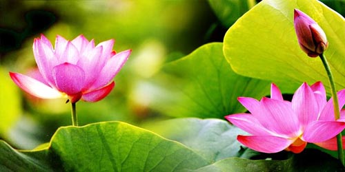 How to combine photos in Photoshop from 2 different images Picture 15